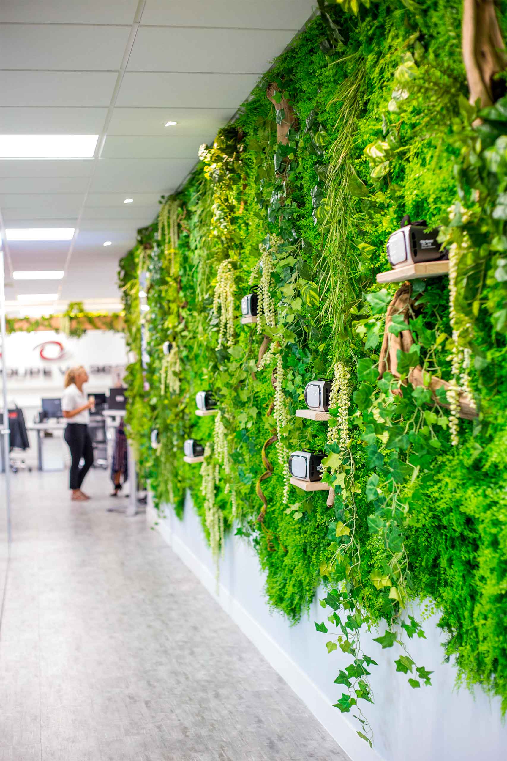 Mur-vegetal